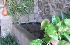 Cal Sadurní - Foto 13