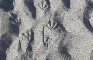 Villa Nicole - STELLA MARINA APARTMENT - Foto 20