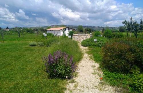 Masseria Fontana dei Fieri - Foto 57