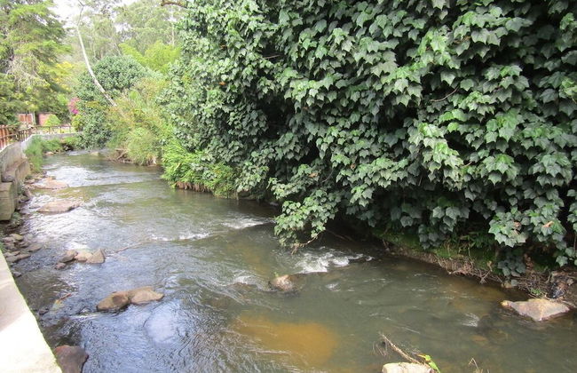 River Front Cabains - Foto 1