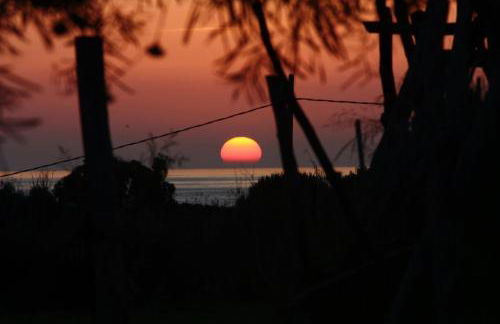 El Abejaruco - Foto 23