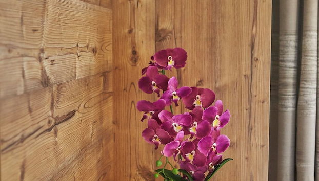 Delfi Ski & Bike Apartments - Foto 3, Habitación