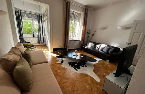 Historical Luxury Homes - Stadtvilla mit Jacuzzi und Garten - Foto 6