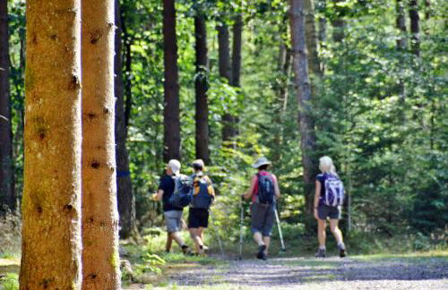 Le Gîte de l'Ecureuil - Foto 45