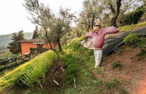 Casetta di Butia, Ginestra apartment with swimming pool - Foto 42