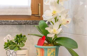 The Royal House - un passo dalla reggia /en-es-it - Photo 30