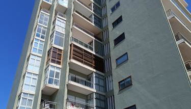 Cavalos de Ofir - Foto 2