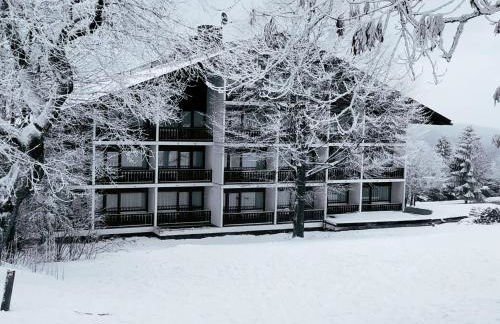 Winterwohnung Almberg - Foto 19