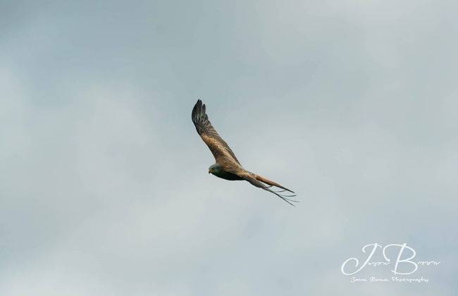 Pencastell Views Pod With Stunning Views - Photo 28