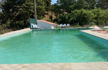 Santuário SOS Animal - Foto 47