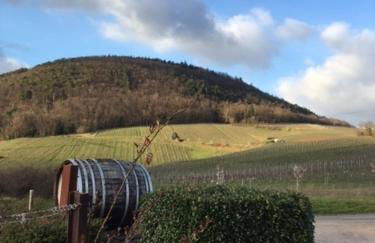 SECRA Exclusive Appartement 44 - Foto 6