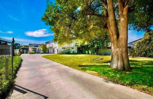 New Charming Spacious Disneyland Pool Home - Photo 5