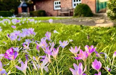 1100 - Reetdachhaus in Grube - Foto 34