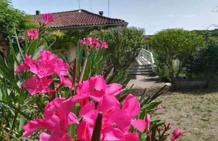 Le Mas des Papillons - Foto 25