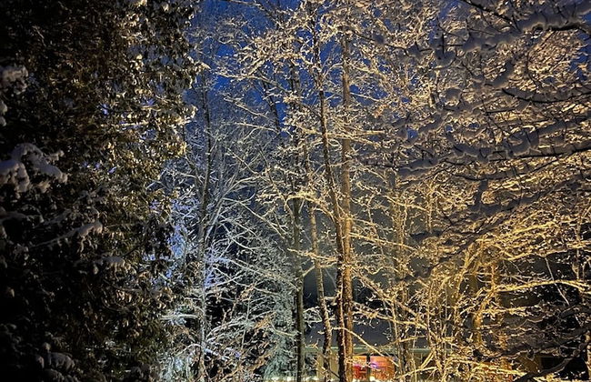 Hauser's Bayfield Cabin - Foto 63