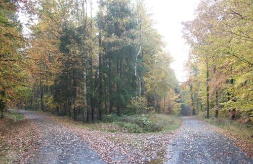 Ferienwohnung Bockelt - Foto 7