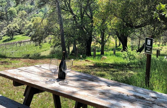 Papillon Cellars - Foto 22