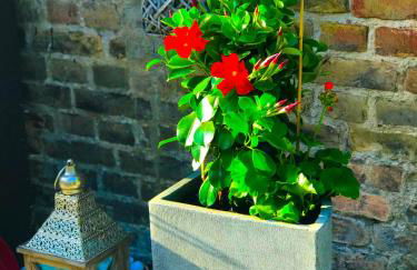 "Casa20200" 2 x Apartments je 150qm für Business, Familien, Gruppen, Handwerker 15min von BERLIN, Erdbeerhof, Outlet B5, 5min vom See Falkensee !! 2 Apartment each 150qm for BUSINESS , FAMILIES 15min from BERLIN!! - Foto 27