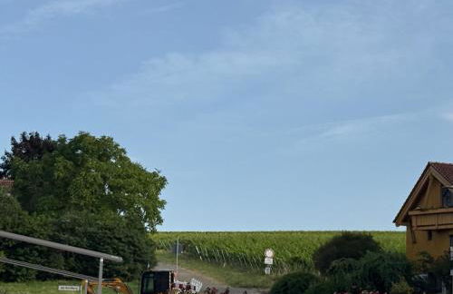 Ferienwohnung Rebenruhe - Foto 12