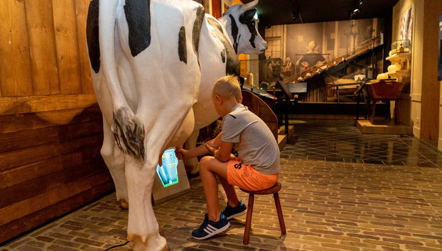The Story of Edam Cheese Ticket - Foto 4