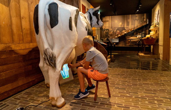 The Story of Edam Cheese Ticket - Foto 4