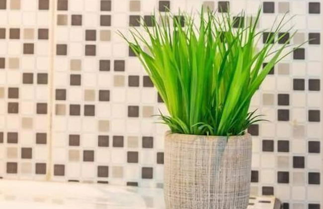 Boutique Vedado Villa - Photo 76