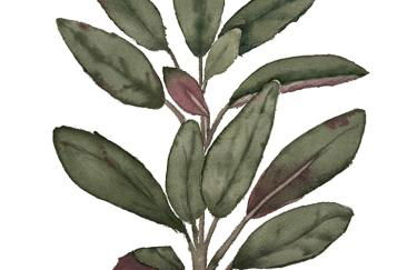 Alm Annerl - Neue Ferienwohnungen in Obermaiselstein - Foto 25