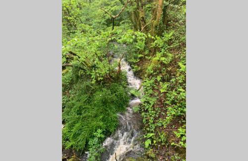 Cwtch Bach - Garnant - Foto 24