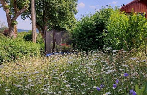 Hibiskus - a83456 - Foto 20