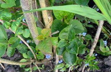 Newton Hall Farm cottage, hot tub garden views Nr Lytham Ribby - Foto 36
