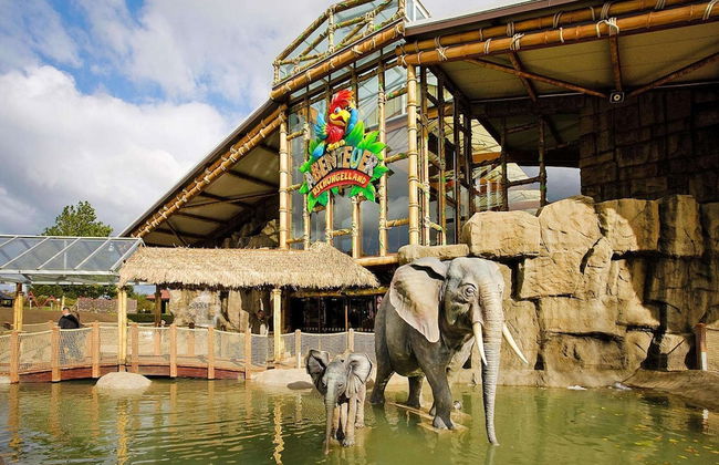 Appartements im Freizeitpark Weissenhauser Strand - Foto 30