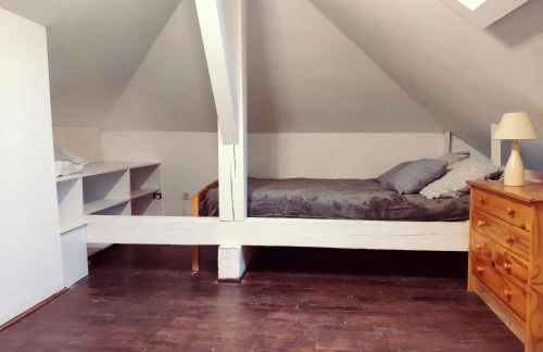 Au bord du Foron - Foto 13