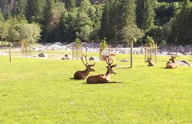 Casa Lausen - Foto 69