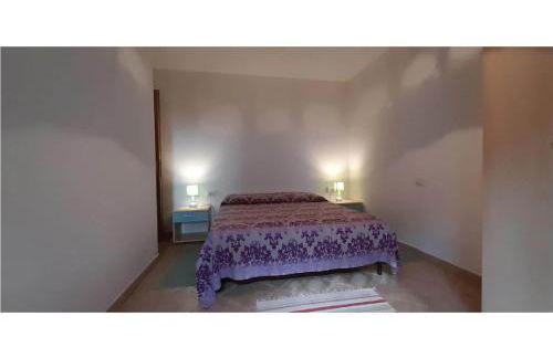 Il rosmarino - Foto 12