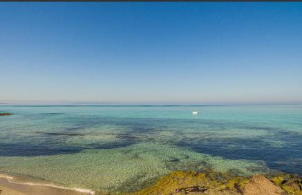 Beach House Es Trenc - Photo 53