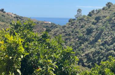 Casa La Brisa - Foto 28