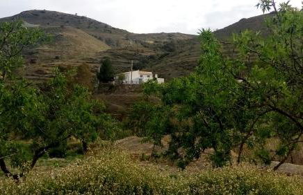 Cortijo Claudia - Foto 64