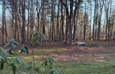 King Cabin - Foto 24