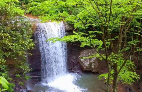 Stay In Ohiopyle near the GAP Trail - Ohiopyle, PA - Foto 44