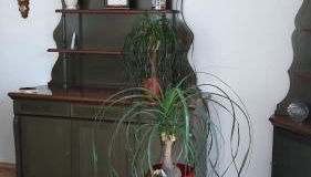 5 Gartenstraße - Photo 3