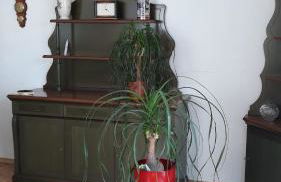 5 Gartenstraße - Foto 3