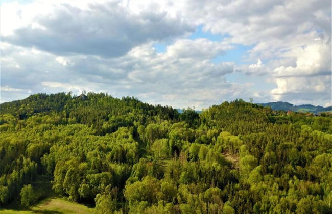 Peaceful Holiday Home in Holin With Garden - Photo 24