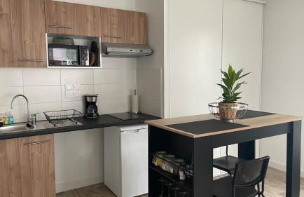 Appartement Cosy et chaleureux proche des grandes entreprises Toulousaine - Photo 9