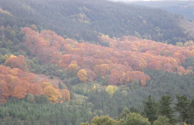 Mendi Alai - Foto 31