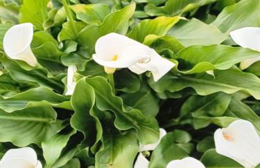 La casika del Cerro - Foto 21