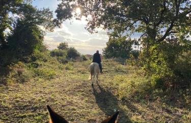 Villa Casina dell'Etna - Foto 56