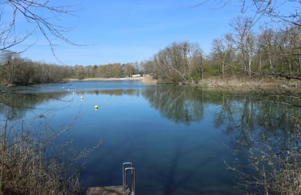 Feriendorf am Flämingbad Bungalow - Foto 13