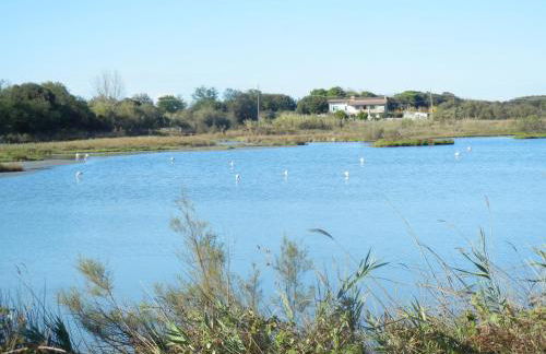 CASA VACANZE MARE - Foto 15