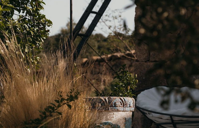 Albero Capovolto Country & Sea - Foto 32