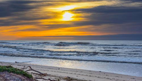 Monterey Dune Dream - Photo 3